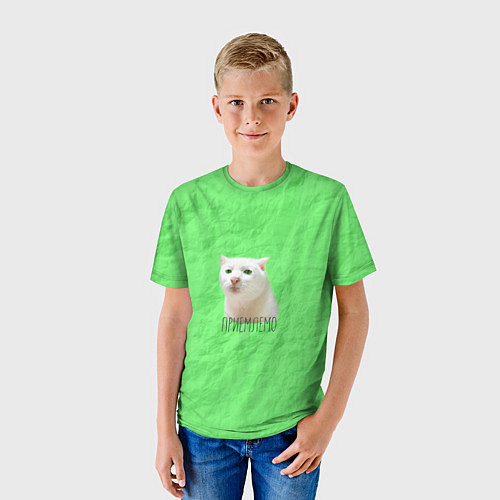 Детская футболка Приемлемо кот мем / 3D-принт – фото 3