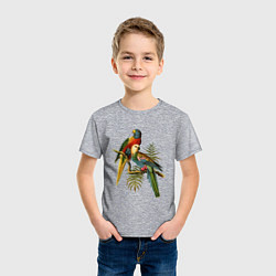 Футболка хлопковая детская Тропические попугаи, цвет: меланж — фото 2