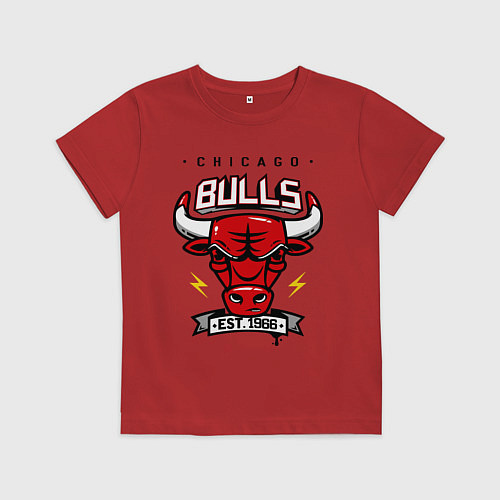 Детская футболка Chicago Bulls est. 1966 / Красный – фото 1