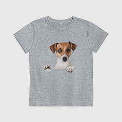 Футболка хлопковая детская Собака, цвет: меланж