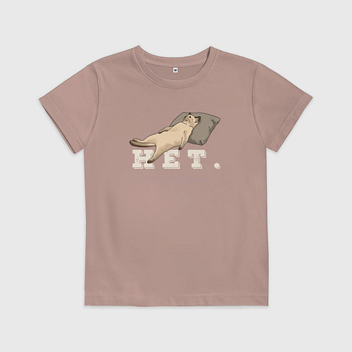 Детская футболка Котик мем, нет, не сегодня / Пыльно-розовый – фото 1