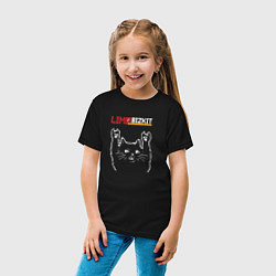 Футболка хлопковая детская Limp Bizkit рок кот, цвет: черный — фото 2