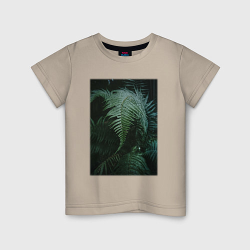 Детская футболка Зелёный Папоротник В Лесу / Миндальный – фото 1
