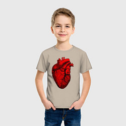 Футболка хлопковая детская Сердце анатомическое, цвет: миндальный — фото 2