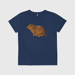 Футболка хлопковая детская Капибара сидит и спит, цвет: тёмно-синий