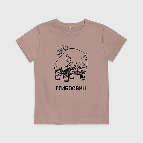 Детская футболка Грибосвин из Сумеру ГЕНШИН ИМПАКТ / Пыльно-розовый – фото 1