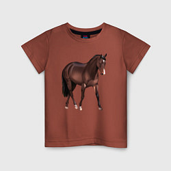Футболка хлопковая детская Австралийская пастушья лошадь, цвет: кирпичный
