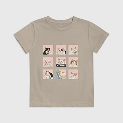 Футболка хлопковая детская Мемные коты, цвет: миндальный