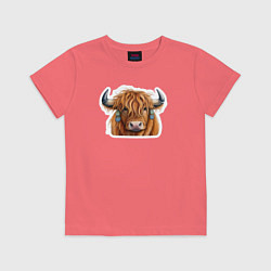 Футболка хлопковая детская Шотландский волосатый бык, цвет: коралловый