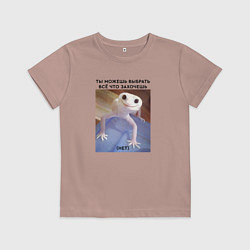 Футболка хлопковая детская Можешь выбрать себе всё что захочешь - нет, цвет: пыльно-розовый