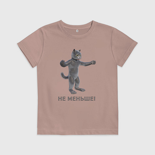 Детская футболка Антропоморфный кот с надписью не меньше / Пыльно-розовый – фото 1
