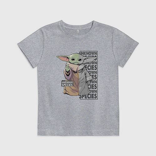 Детская футболка Unknown specis - Baby Yoda / Меланж – фото 1