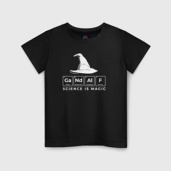 Футболка хлопковая детская Gendalf science is magic, цвет: черный
