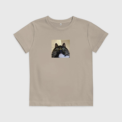 Детская футболка Видеозвонок с котом парный мем / Миндальный – фото 1