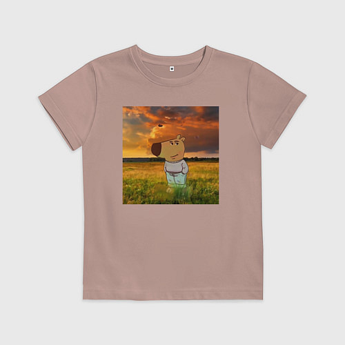 Детская футболка Чисто чилловый парень / Пыльно-розовый – фото 1