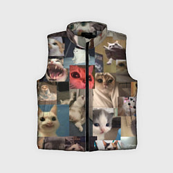 Детский жилет Мемные котики, цвет: 3D-светло-серый