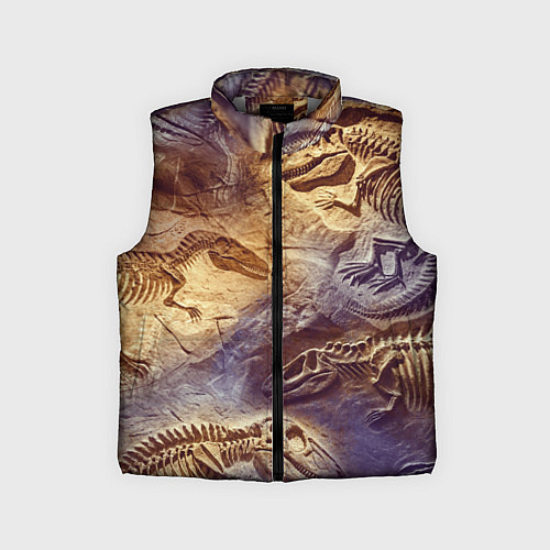 Детский жилет Окаменелые динозавры, подарок для палеонтолога / 3D-Светло-серый – фото 1