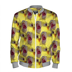 Бомбер мужской Попугай Корелла Орёт Мем, цвет: 3D-меланж