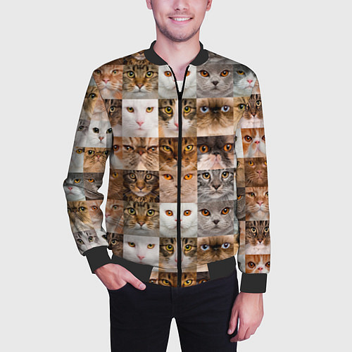Мужской бомбер Pedigreed cats / 3D-Черный – фото 3