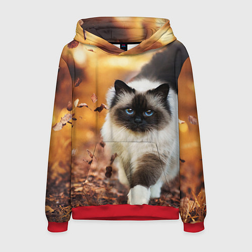 Мужская толстовка Котик в листьях / 3D-Красный – фото 1
