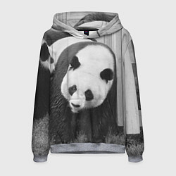 Толстовка-худи мужская Большая панда, цвет: 3D-меланж