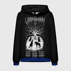 Толстовка-худи мужская Wolves in the Throne Room, цвет: 3D-синий