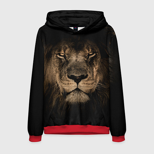 Мужская толстовка Львиный взгляд / 3D-Красный – фото 1