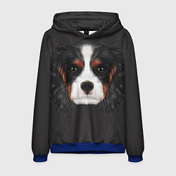 Толстовка-худи мужская Cavalier King Charles, цвет: 3D-синий