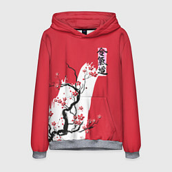 Толстовка-худи мужская Сакура Айкидо, цвет: 3D-меланж