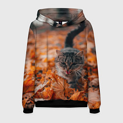 Толстовка-худи мужская Мяукающий кот осенние листья, цвет: 3D-черный