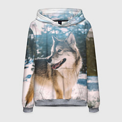 Толстовка-худи мужская Волк и снег, цвет: 3D-меланж
