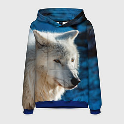 Толстовка-худи мужская Волк на черном фоне, цвет: 3D-синий