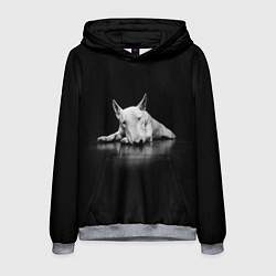 Толстовка-худи мужская Puppy, цвет: 3D-меланж