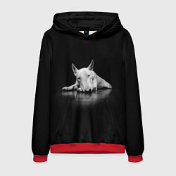 Толстовка-худи мужская Puppy, цвет: 3D-красный