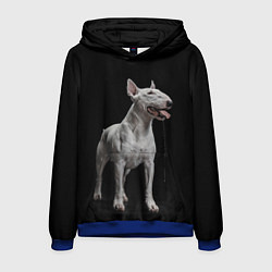 Толстовка-худи мужская Bully, цвет: 3D-синий