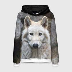 Толстовка-худи мужская Волк, цвет: 3D-белый
