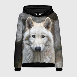 Толстовка-худи мужская Волк, цвет: 3D-черный