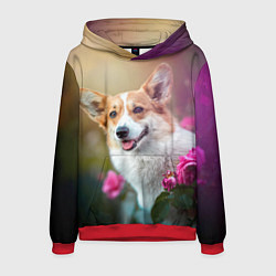 Толстовка-худи мужская Корги в розовом кусте, цвет: 3D-красный