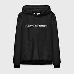 Толстовка-худи мужская Sorry for what?, цвет: 3D-черный