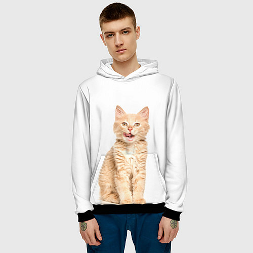 Мужская толстовка Кошечка / 3D-Черный – фото 3