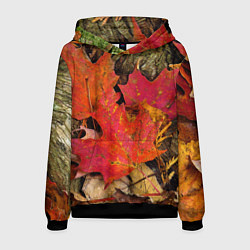 Толстовка-худи мужская Листопадкленовые листья, цвет: 3D-черный
