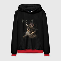 Толстовка-худи мужская Big cat Maine Coon, цвет: 3D-красный