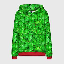 Толстовка-худи мужская Зелёные листья - текстура, цвет: 3D-красный