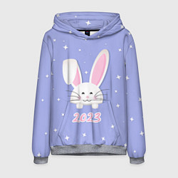 Толстовка-худи мужская Кролик - символ 2023 года, цвет: 3D-меланж