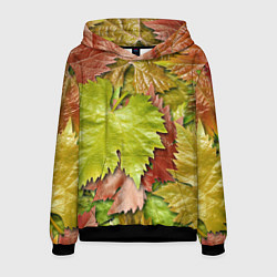 Толстовка-худи мужская Осенние листья клёна - паттерн, цвет: 3D-черный