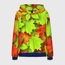 Толстовка-худи мужская Зелёные осенние листья, цвет: 3D-синий