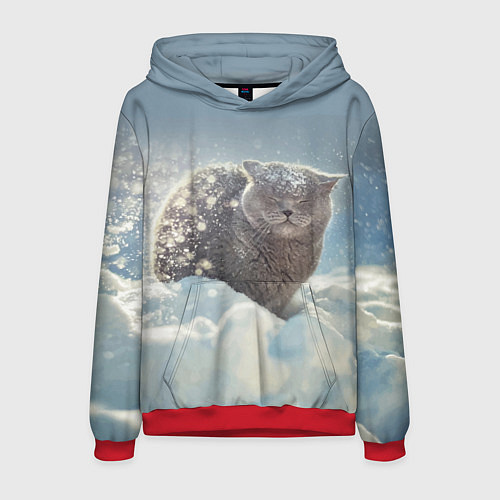 Мужская толстовка Кот встречает Новый Год! / 3D-Красный – фото 1