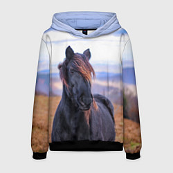 Толстовка-худи мужская Черный конь, цвет: 3D-черный