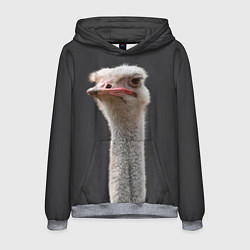 Толстовка-худи мужская Голова страуса, цвет: 3D-меланж