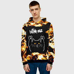 Толстовка-худи мужская Blink 182 рок кот и огонь, цвет: 3D-черный — фото 2
